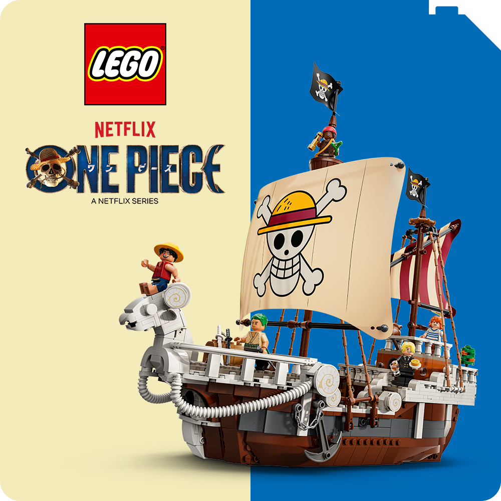 LEGO One Piece