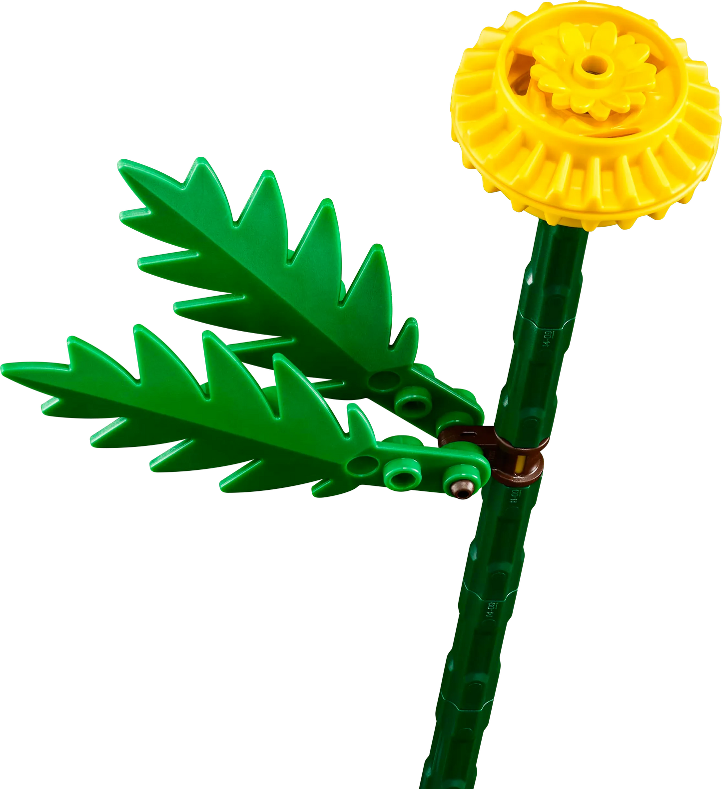 LEGO Wildblumen 30701 Botanische Sammlung