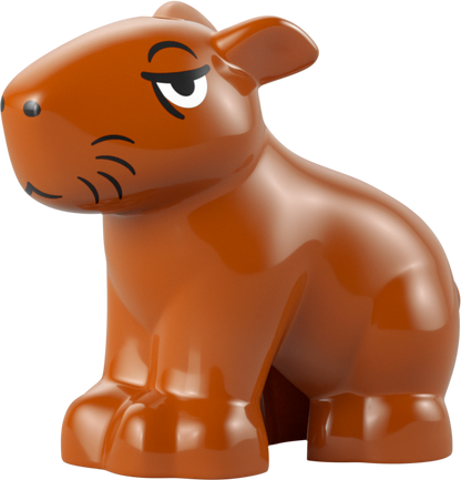 LEGO Mini Encanto House 43261 Disney