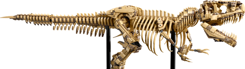LEGO The T. rex Skelet 76968 Jurassic World