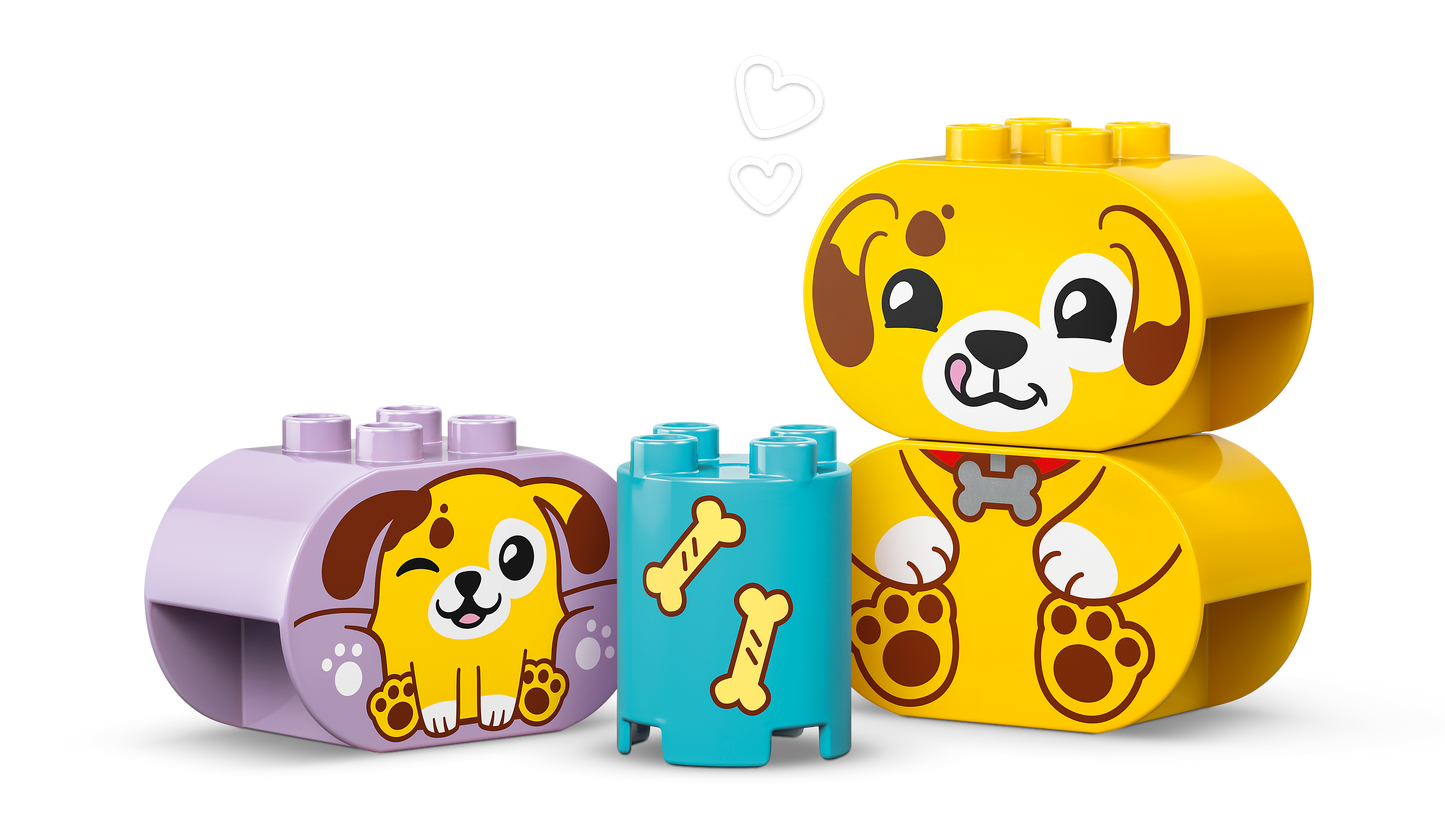 LEGO Vormenstoof: puppyhuis 10441 DUPLO