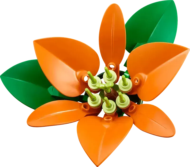 LEGO Bloemstuk 10345 Botanische Collectie