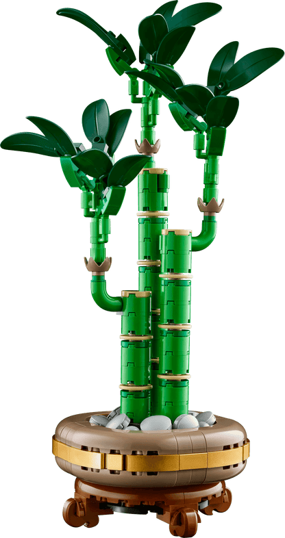 LEGO Geluksbamboe 10344 Botanische Collectie (Levering: Januari 2025) @ 2TTOYS | Official LEGO shop😊🥰 2TTOYS €. 24.99