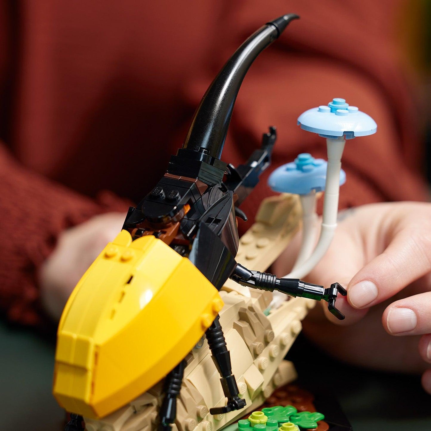 LEGO De insectencollectie 21342 Ideas LEGO IDEAS @ 2TTOYS LEGO €. 84.99
