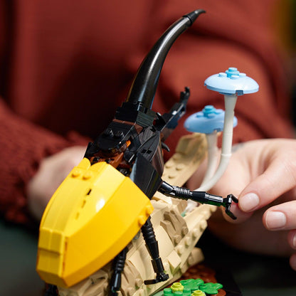 LEGO De insectencollectie 21342 Ideas LEGO IDEAS @ 2TTOYS LEGO €. 84.99