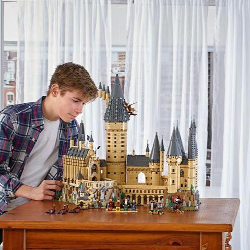 LEGO Het Kasteel Zweinstein met 6.000 stenen 71043 Harry Potter LEGO HARRY POTTER @ 2TTOYS | Official LEGO shop😊🥰 LEGO €. 424.99