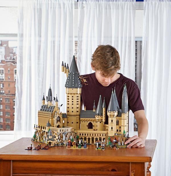 LEGO Het Kasteel Zweinstein met 6.000 stenen 71043 Harry Potter LEGO HARRY POTTER @ 2TTOYS | Official LEGO shop😊🥰 LEGO €. 424.99