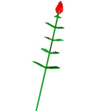 LEGO LEGOLAND Rose (glued) LLROSE Gear LEGO Gear @ 2TTOYS LEGO €. 19.99